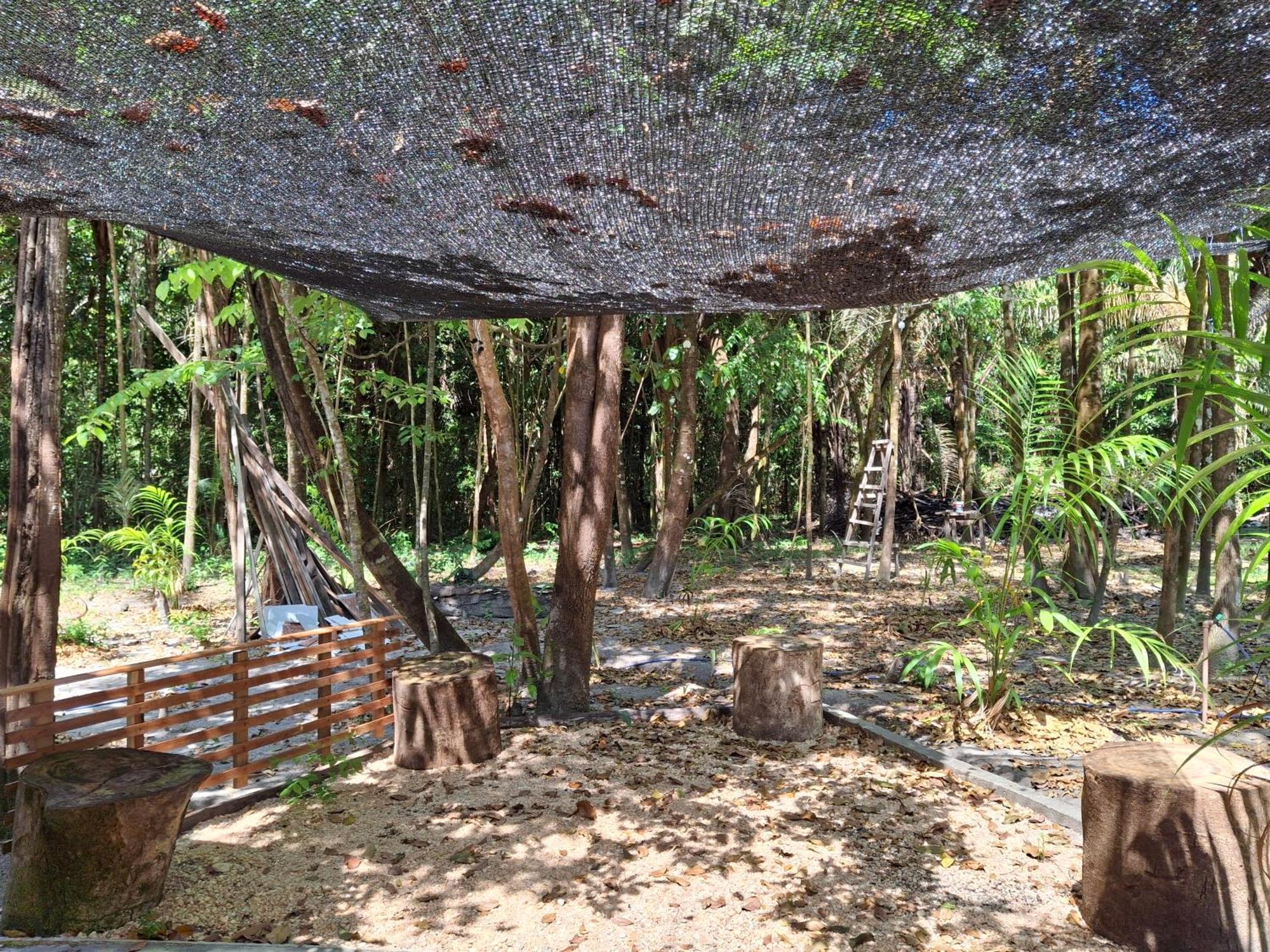 Casa Da Mata Marajo Villa Salvaterra Bagian luar foto